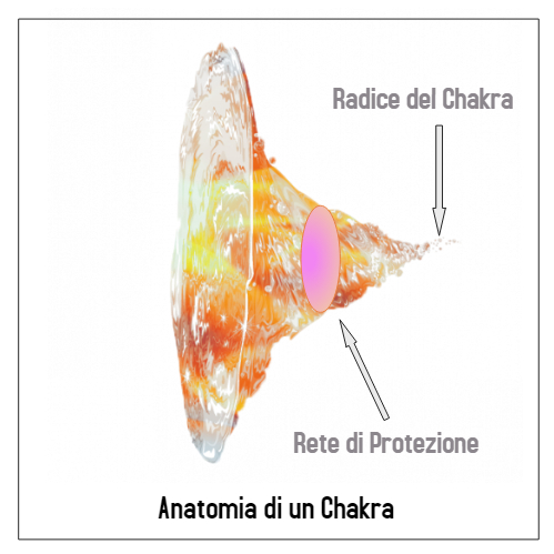anatomia Chakra - Made with PosterMyWall (1)